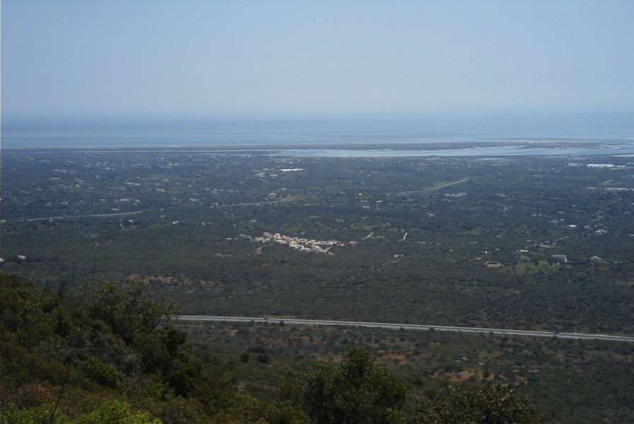 2004-04-06-047-Wetlands