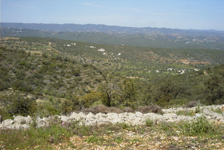 2004-04-06-055-Typical-view