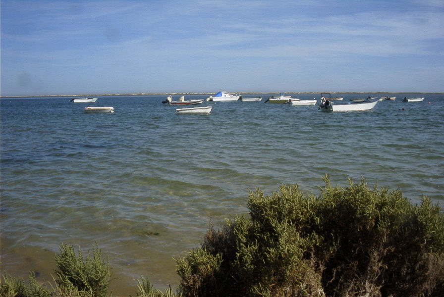 2004-04-07-023-Luz