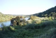 2004-04-10-001-Ribeira-de-Alportel