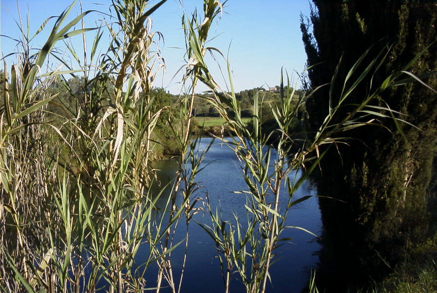 2004-04-10-005-Ribeira-de-Alportel