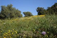 2004-04-10-019-Medow
