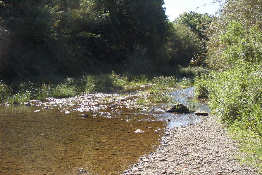 2004-04-10-024-River-to-ford