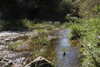 2004-04-10-025-River-to-ford