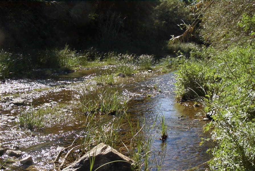 2004-04-10-025-River-to-ford