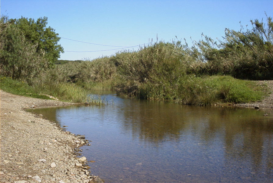 2004-04-10-026-River-to-ford