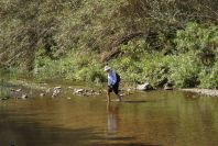 2004-04-10-027-River-to-ford