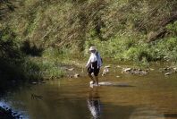 2004-04-10-028-River-to-ford