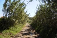 2004-04-10-029-Road-to-Istanbul
