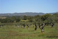 2004-04-10-048-Typical-view