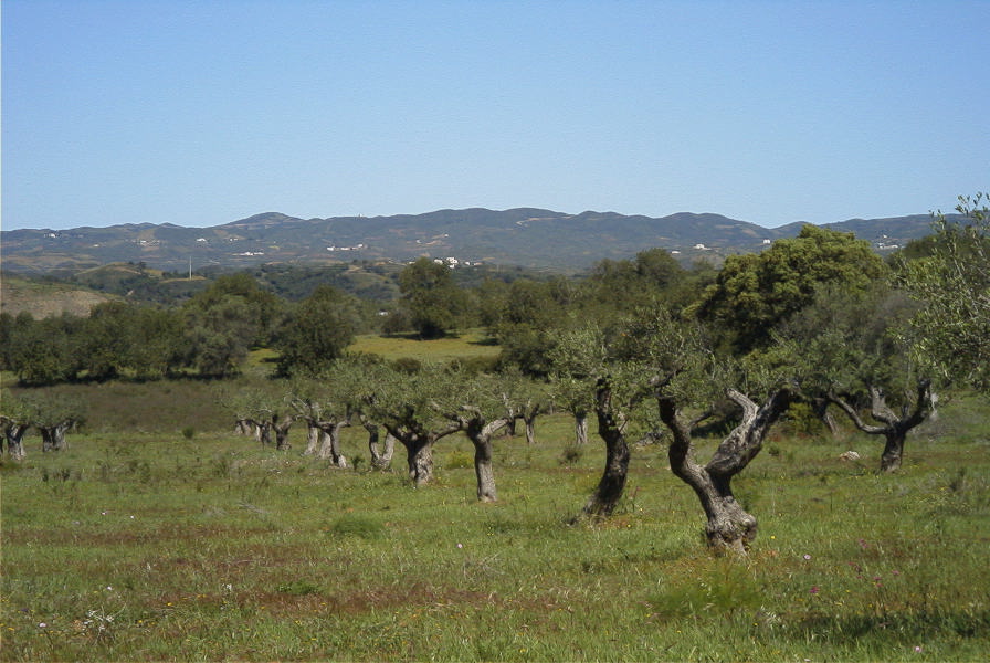 2004-04-10-048-Typical-view