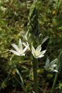 2004-04-10-055-Unknown