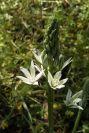 2004-04-10-056-Unknown
