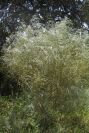 2004-04-10-058-Unknown