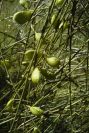2004-04-10-059-Unknown