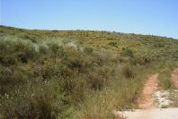 2004-04-10-068-Typical-hillside