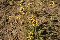 2004-04-12-018-Unknown