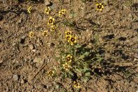 2004-04-12-019-Unknown