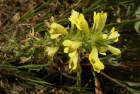 2004-04-14-009-Unknown