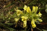 2004-04-14-010-Unknown