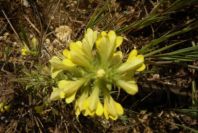 2004-04-14-012-Unknown