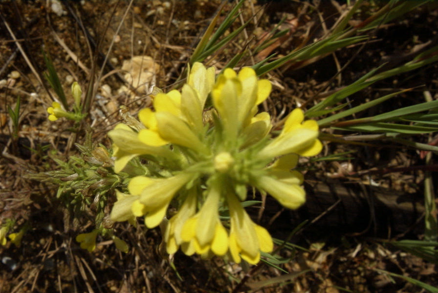 2004-04-14-012-Unknown