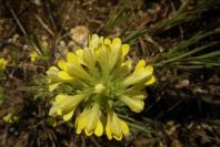 2004-04-14-013-Unknown