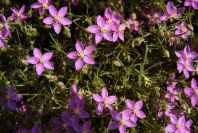 2004-04-14-014-Unknown