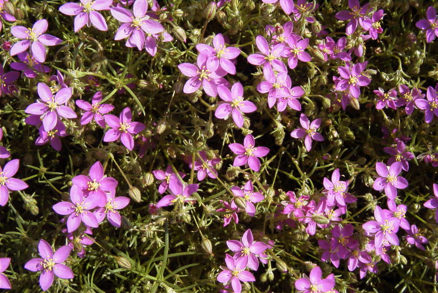 2004-04-14-015-Unknown
