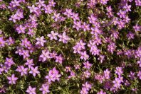 2004-04-14-016-Unknown