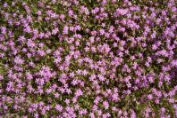 2004-04-14-017-Unknown