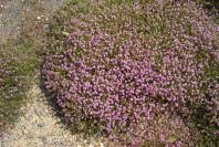2004-04-14-018-Unknown