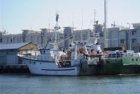 2004-04-14-031-Local-boat