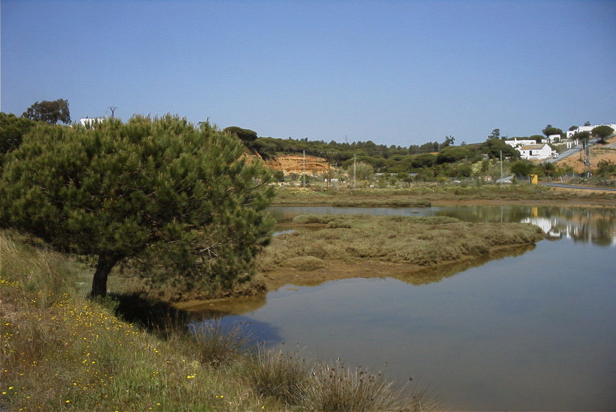 2004-04-14-048-Salt-marshes