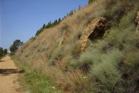 2004-04-14-052-Via-verde