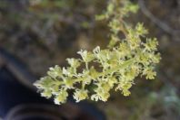 2004-04-15-030-Unknown