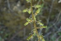 2004-04-15-031-Unknown