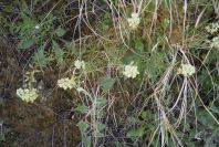2004-04-15-033-Unknown