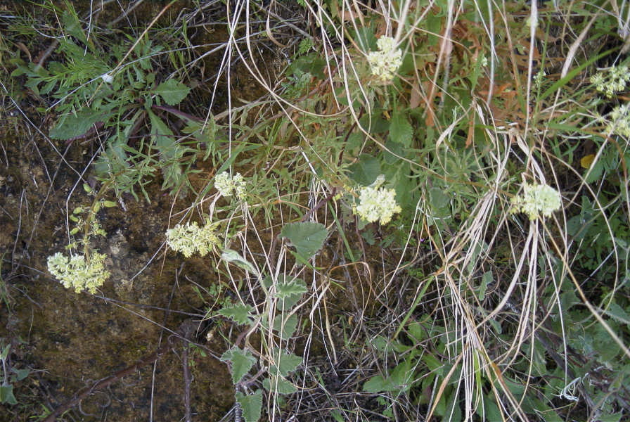 2004-04-15-033-Unknown