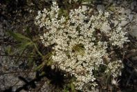 2004-04-15-053-Unknown