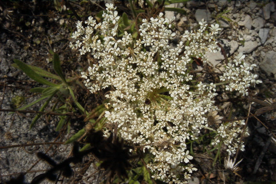 2004-04-15-053-Unknown