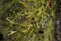 2004-04-15-055-Unknown
