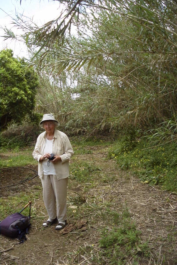 2004-04-16-037-Bamboo