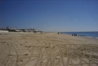 2005-02-13-007-Matalascanas-beach