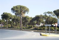 2005-02-13-037-Parkland