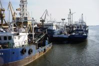 2005-02-13-052-Rio-Odiel-at-Huelva