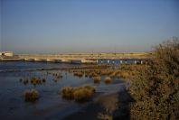 2005-02-14-002-Rio-Odiel-at-Huelva