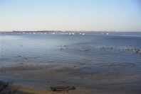 2005-02-14-004-Rio-Odiel-at-Huelva