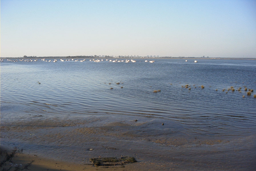 2005-02-14-004-Rio-Odiel-at-Huelva