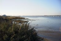 2005-02-14-005-Rio-Odiel-at-Huelva